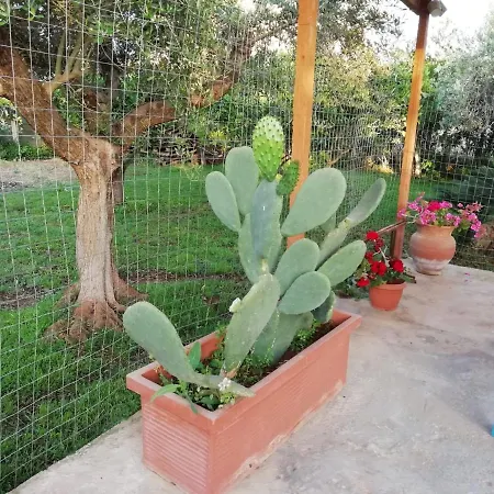 Bed and breakfast Casa Mare A Berbarello *